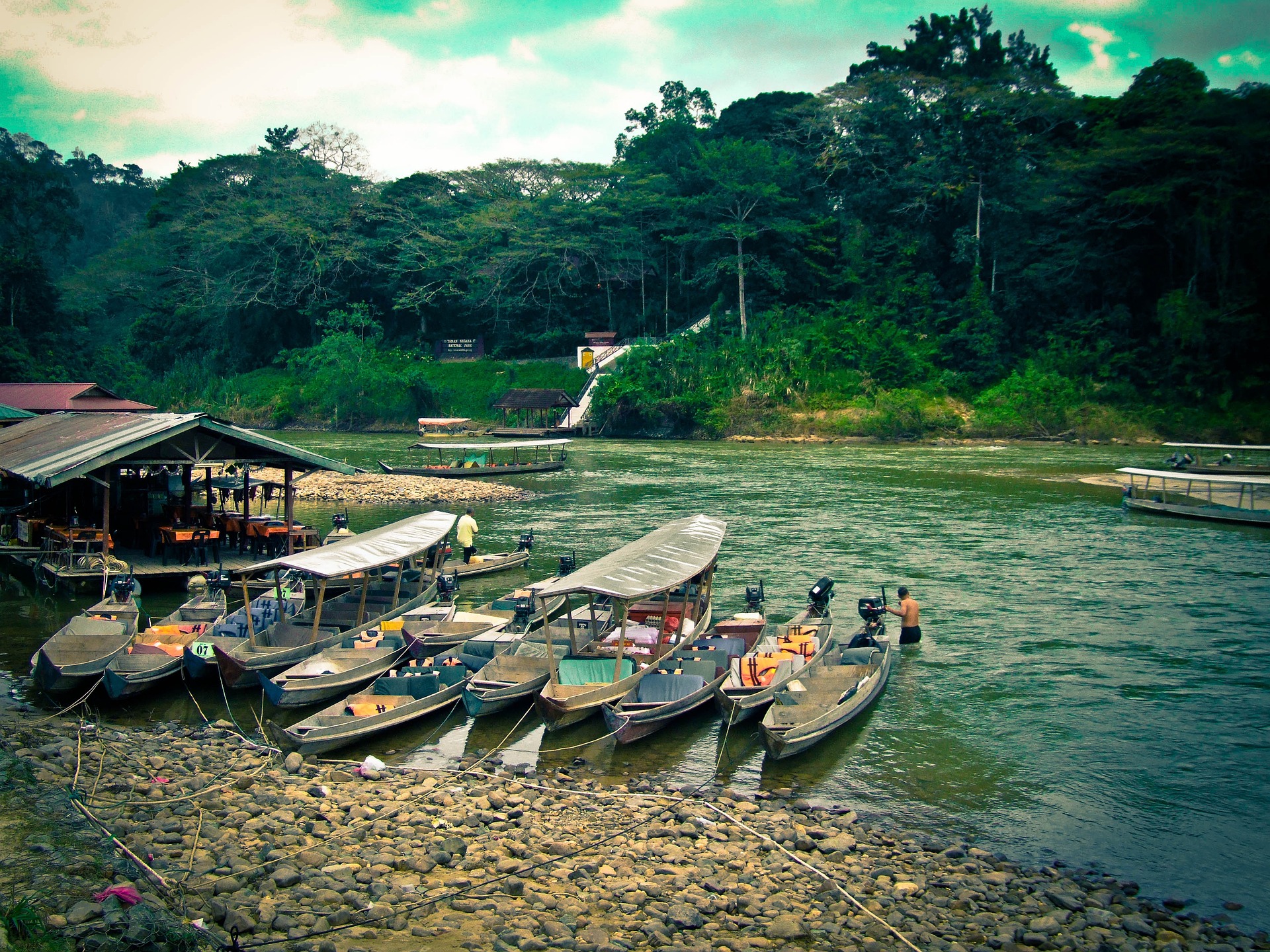 Taman negara